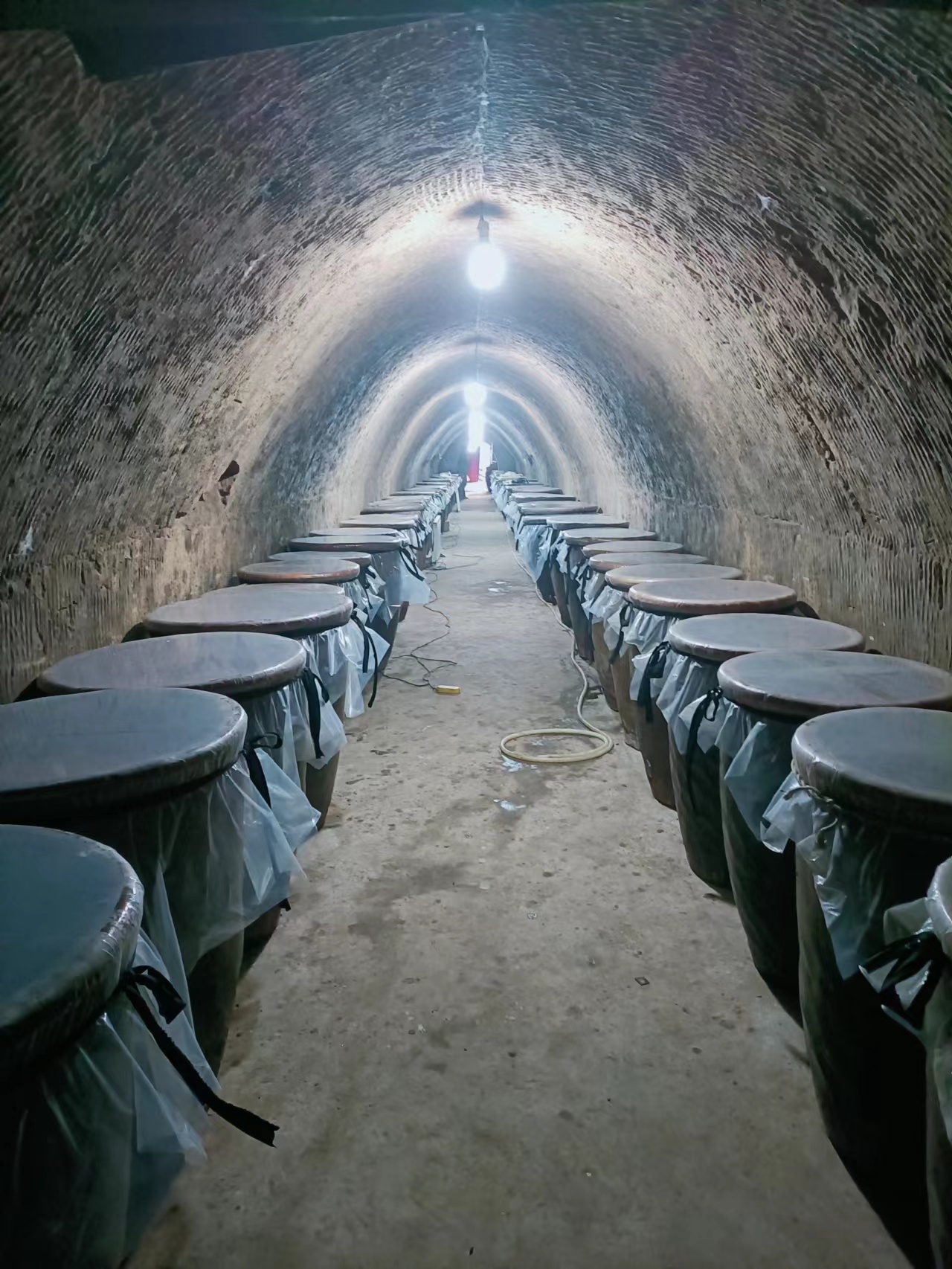 山西:乡情乡愁柿子酒