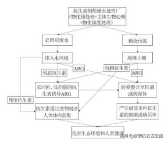 改性壳聚糖吸附重金属离子,改性活性炭吸附实验报告