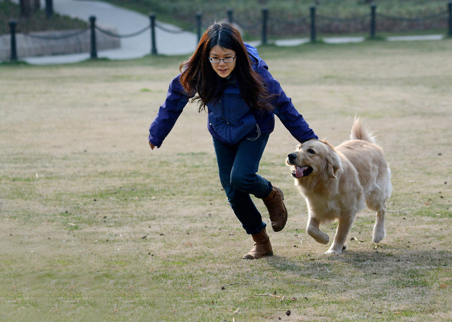 养狗到底是不是败家,养狗真的臭吗