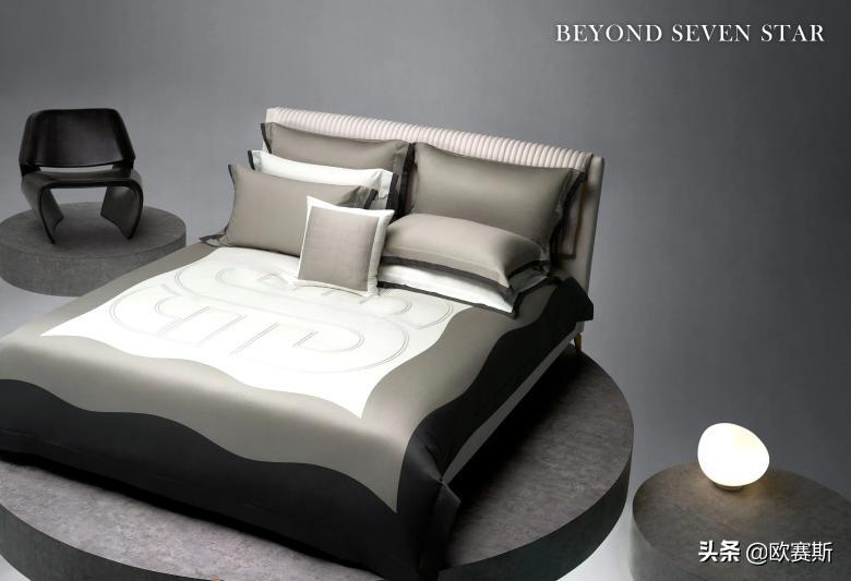 欧赛斯超级品牌演讲,欧赛斯现场直击