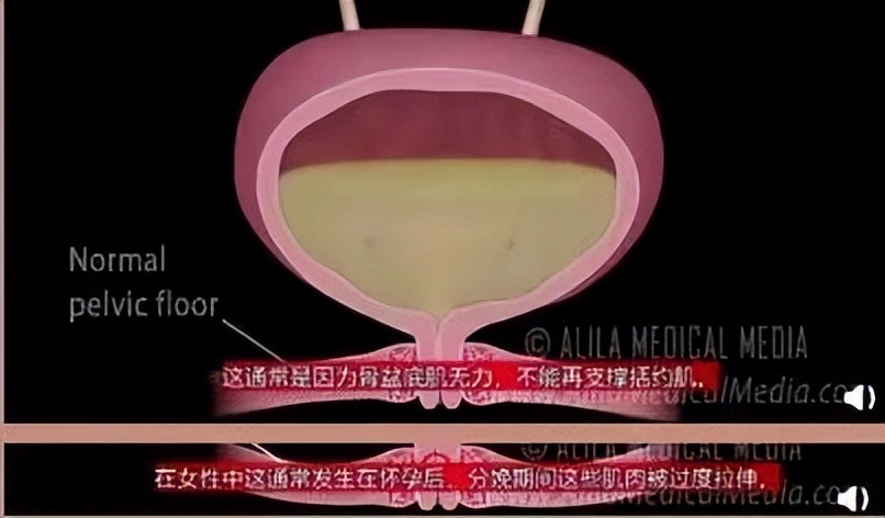 一个孕妇的独白句子,一个孕妇的独白