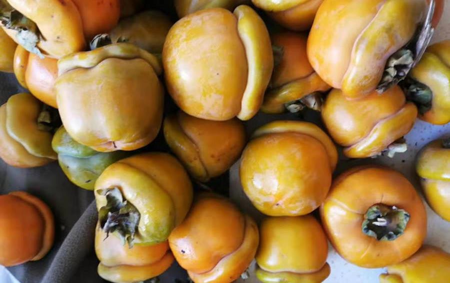 刚采摘的柿子怎么去除苦涩,柿子去涩最简单的方法视频