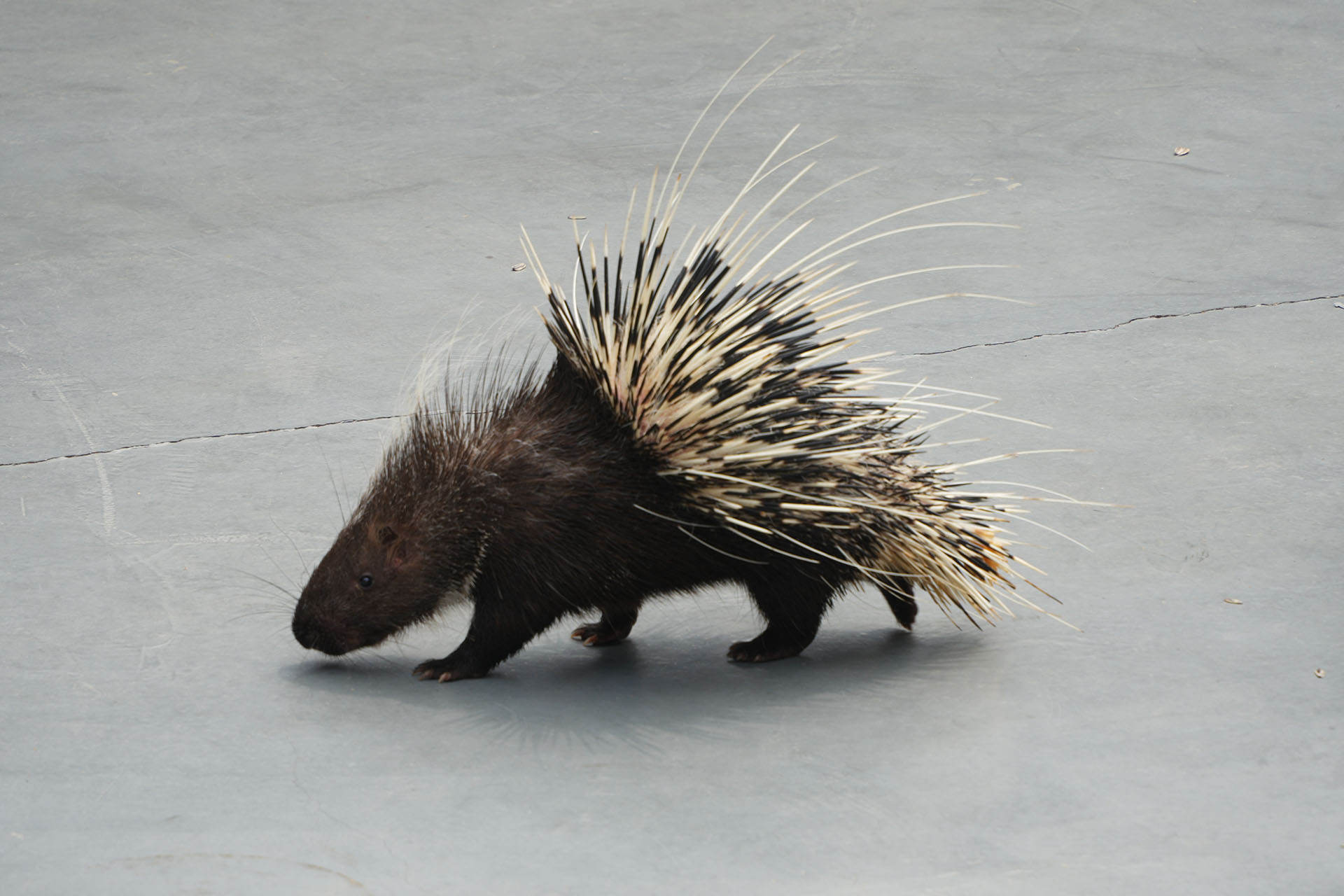 河南焦作一日游最佳路线图,河南焦作云台山游记