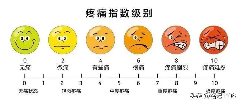 多类型牙刷测评,多一种选择多一种体验