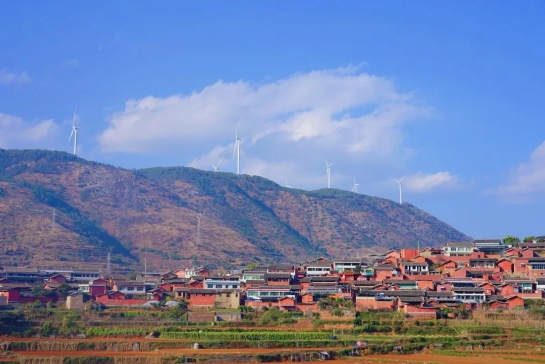 喜欢在这座江南城市里生活,非常喜欢这座自带浪漫的美丽城市