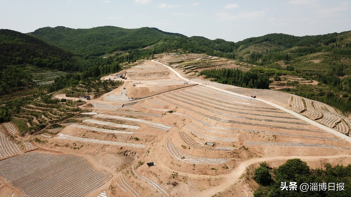 记者观察|合伙人思维为乡村“招贤纳士”！沂源县南鲁山镇创新做法破解乡村振兴发展困局