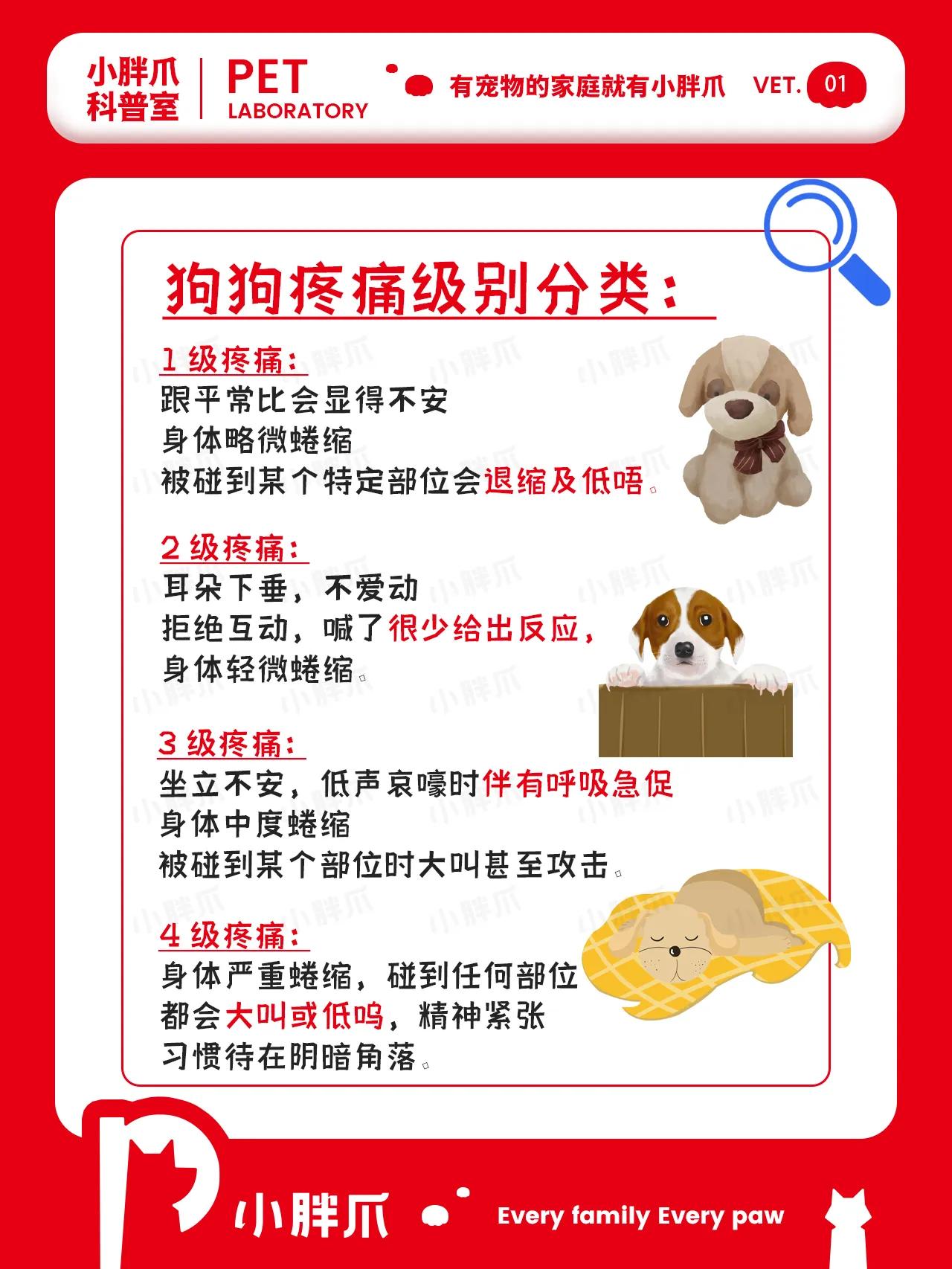 狗狗身体疼痛一直抽搐怎么办,狗狗在忍受疼痛有什么表现