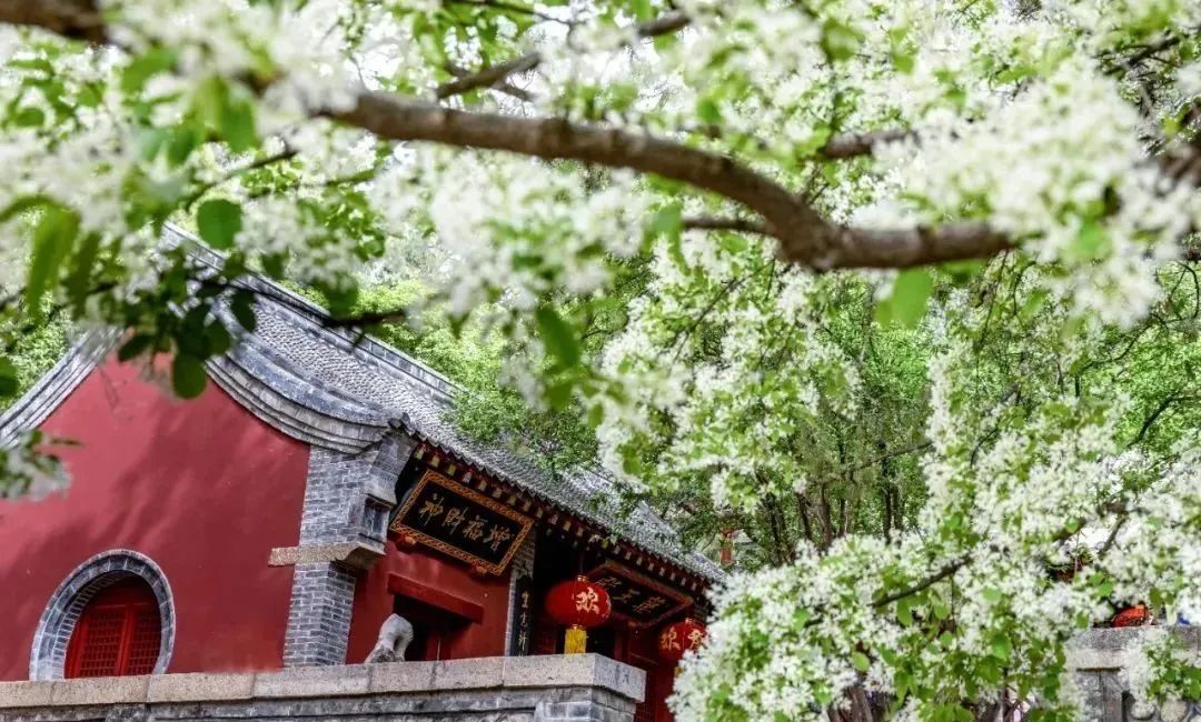 在泰山看黄河,在泰山既看日出又看日落