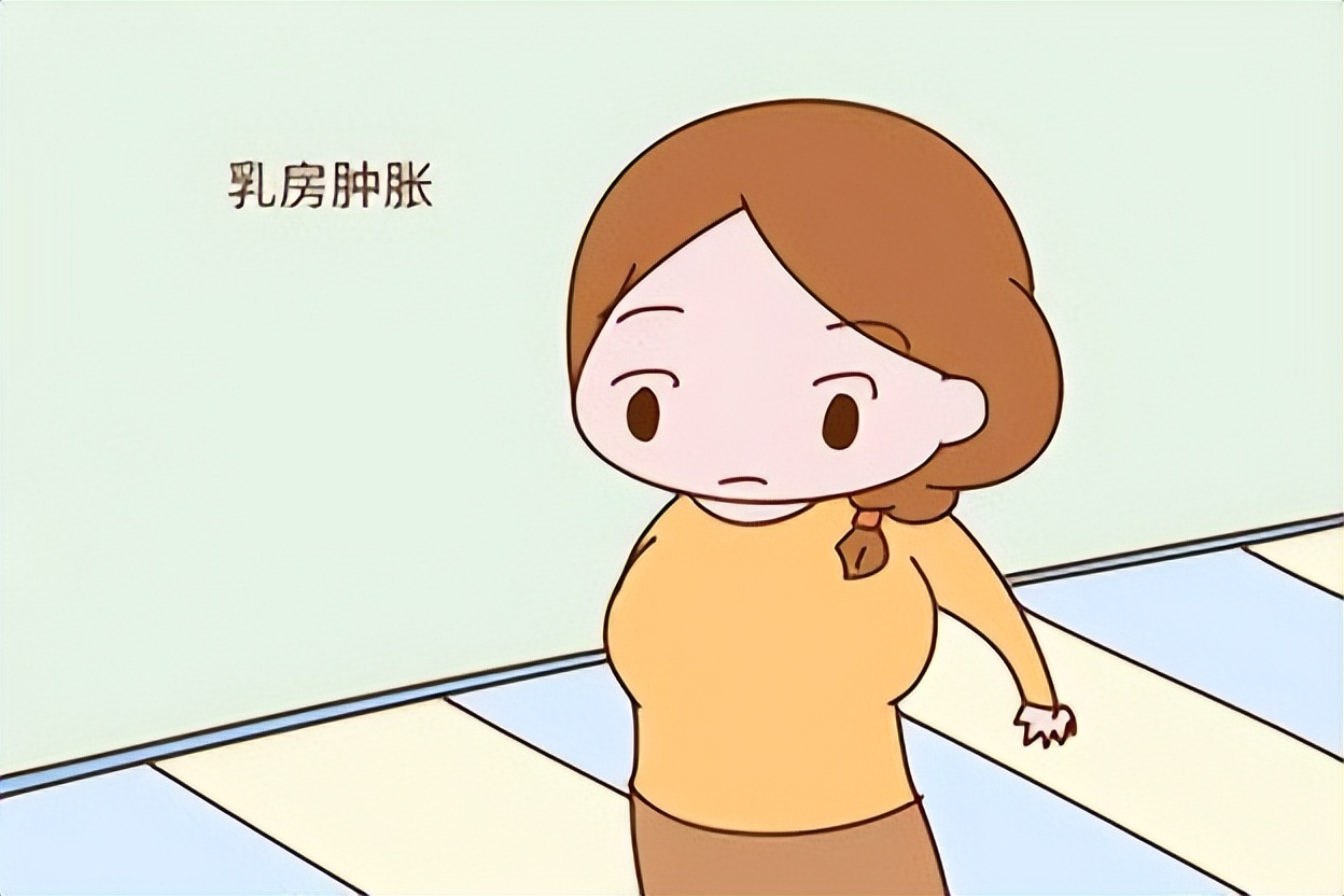 健脾养胃丸和养胃健脾丸一样吗,健脾丸有助于补气血吗