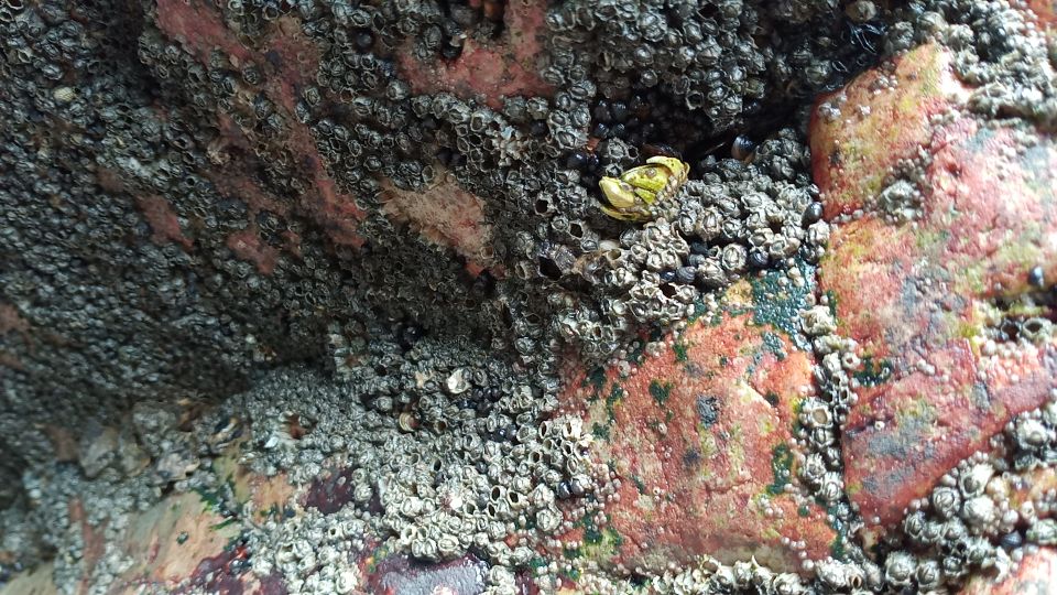 浙江蓝色的大海,浙江哪里可以看到蓝色的大海