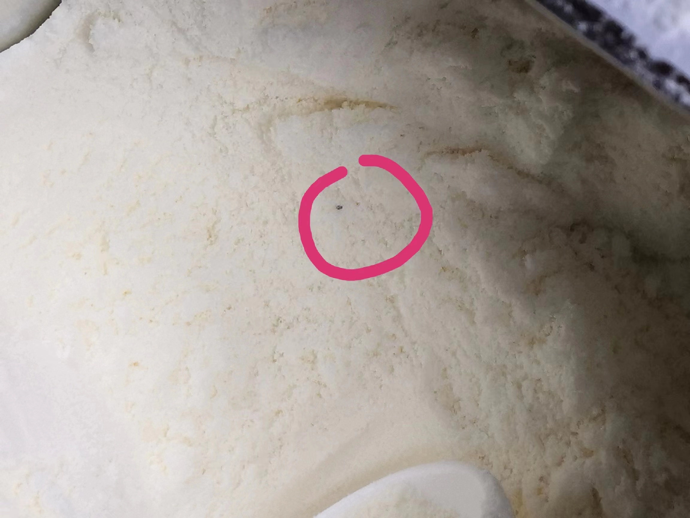 贝因美奶粉有颗粒挂壁正常吗,贝因美的乳铁蛋白有小黑点