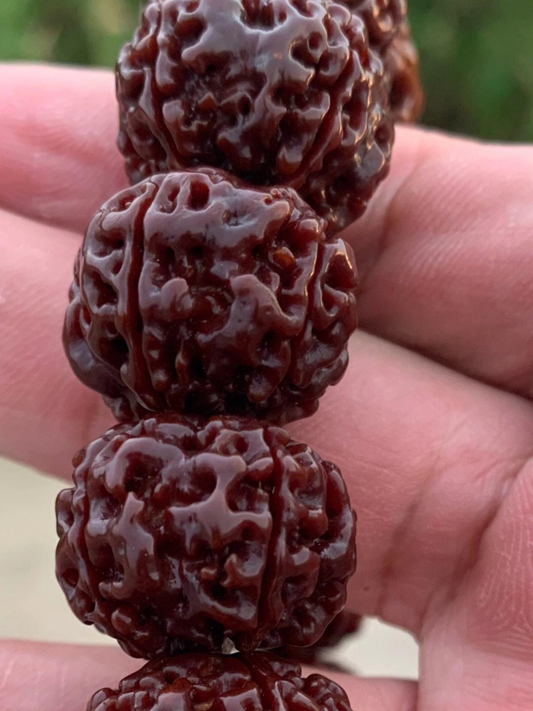 金刚菩提上色慢好还是快好,金刚菩提密度越高上色越慢吗