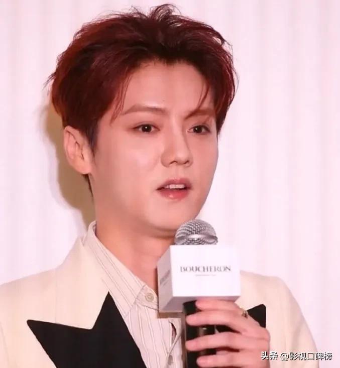 靠综艺撑热度鹿晗,鹿晗去年的收入