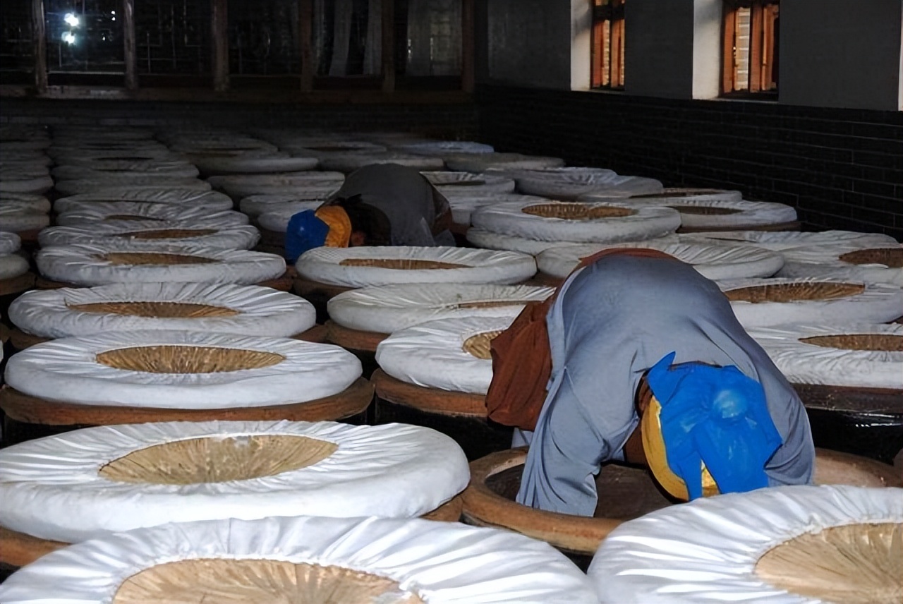 米醋香醋陈醋白醋区别涨知识,陈醋香醋白醋米醋的区别和用法