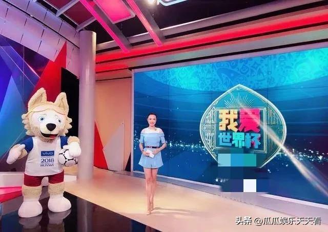 2016年世界杯央视女主持,世界杯最美4大女主持人