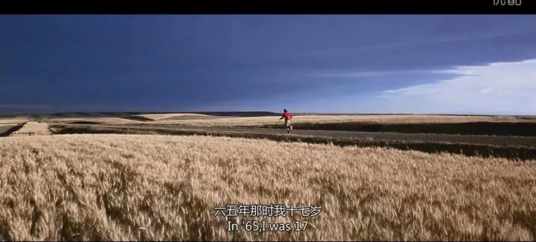 阿甘正传在电影史上的意义,电影阿甘正传中阿甘的信念是什么