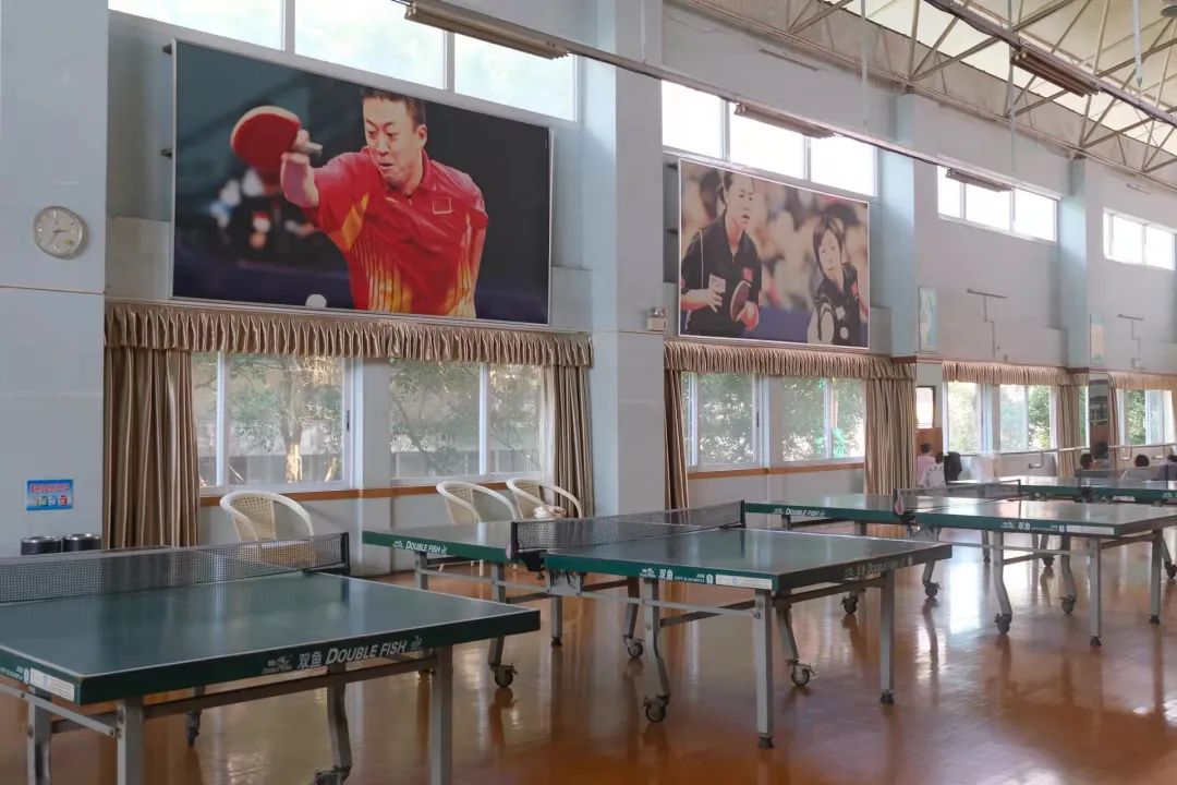 心动警报采访,心动预警作品