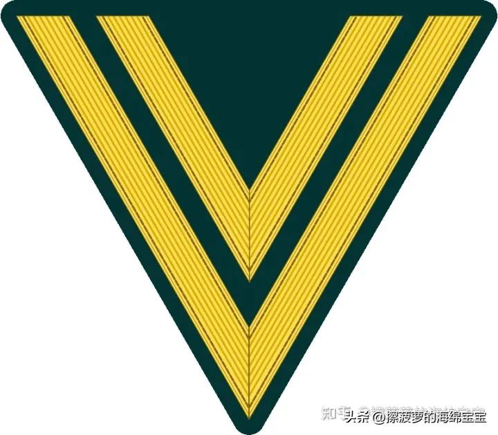 二战德国国防军医疗兵军衔标志