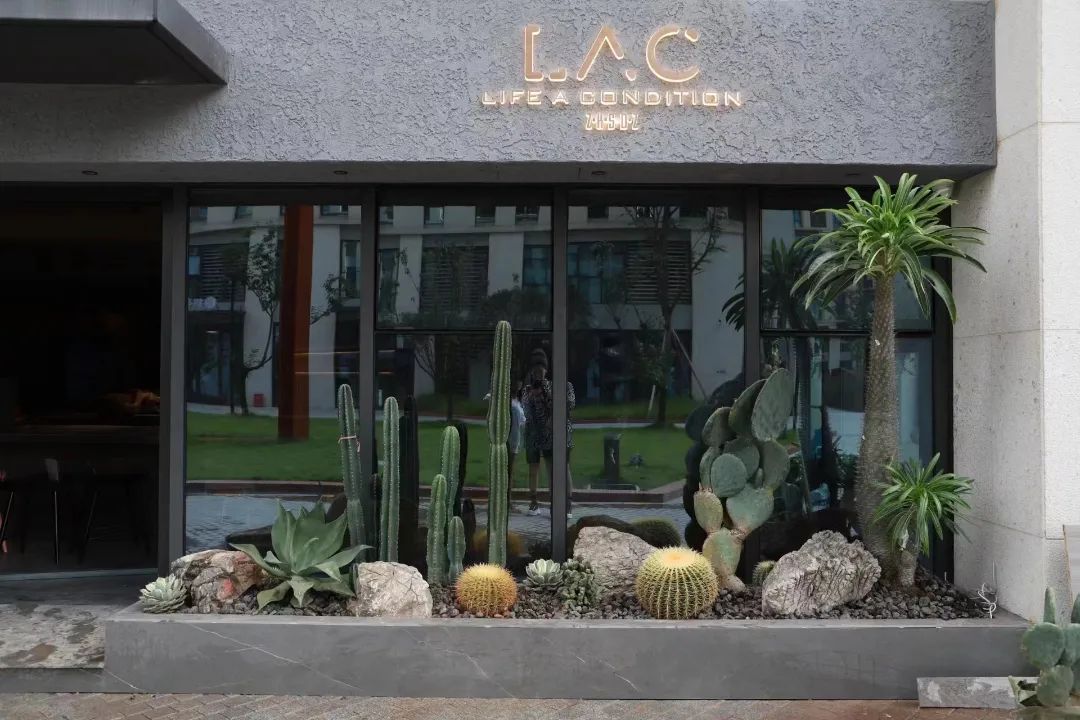 复合型花店怎么做,如何开一家复合型花店