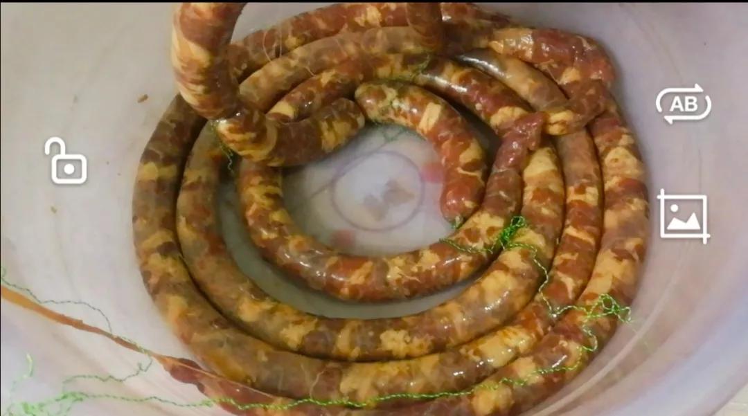 第一次灌香肠配方,第一次自己动手灌腊肠