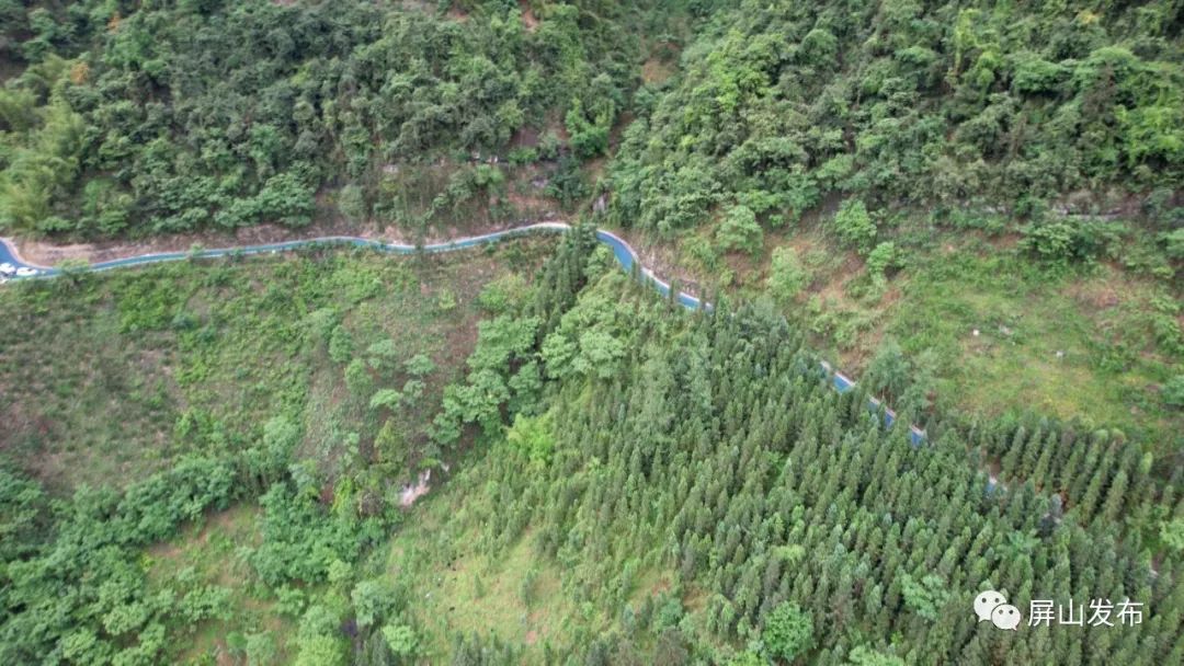 记者带你看民宿,记者带您云游老君山