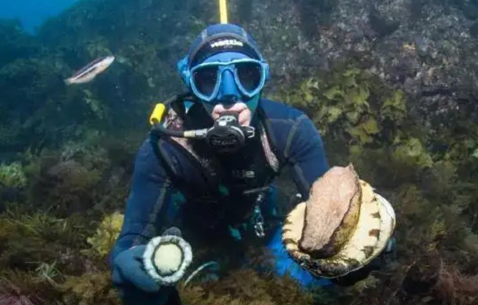 交配明明是为了繁衍后代,为什么雄性海獭,要将雌性折磨致死?