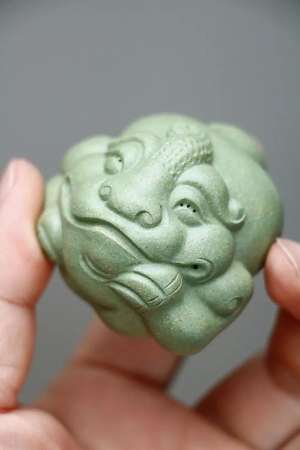 招财金蟾学名,招财金蟾图片