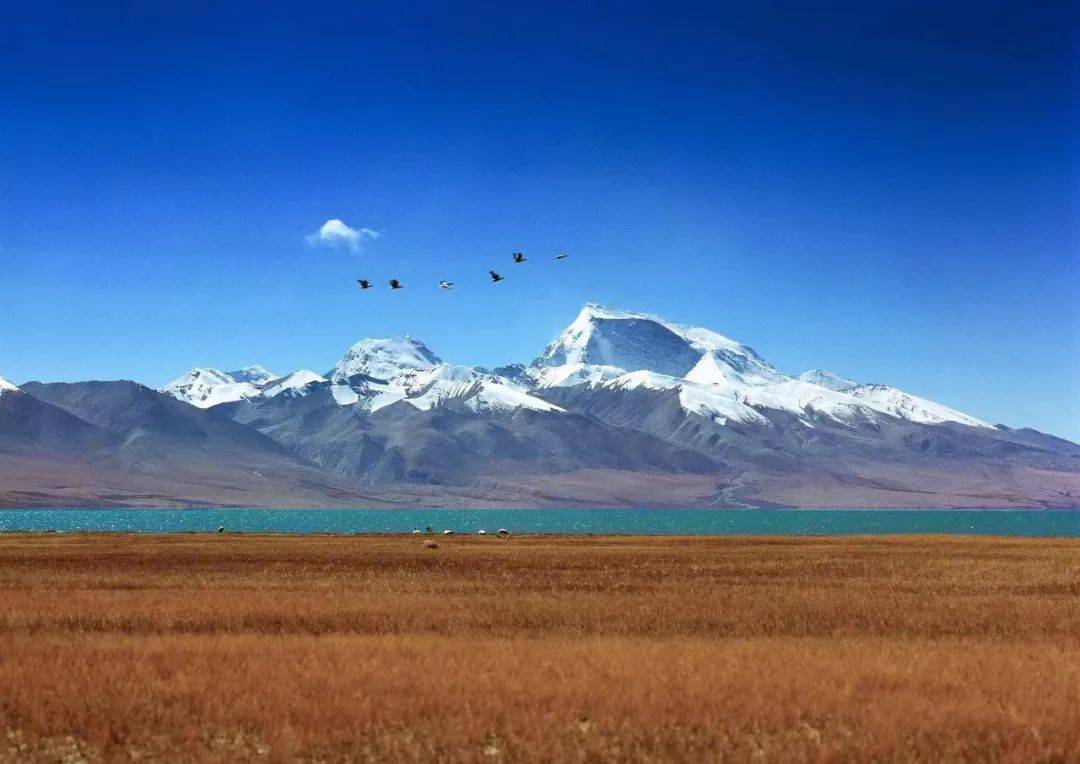 西藏小众旅行摄影,摄影必去的12个地方广州