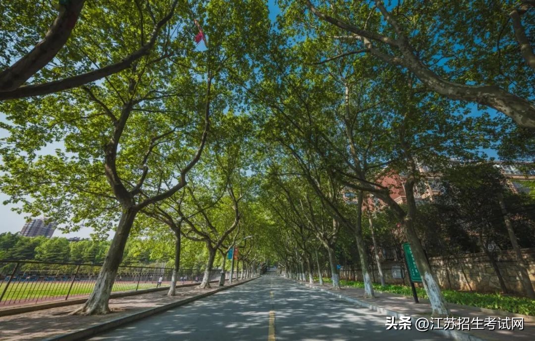 江苏建筑职业技术学院匠心筑梦,江苏建筑职业技术学院45周年