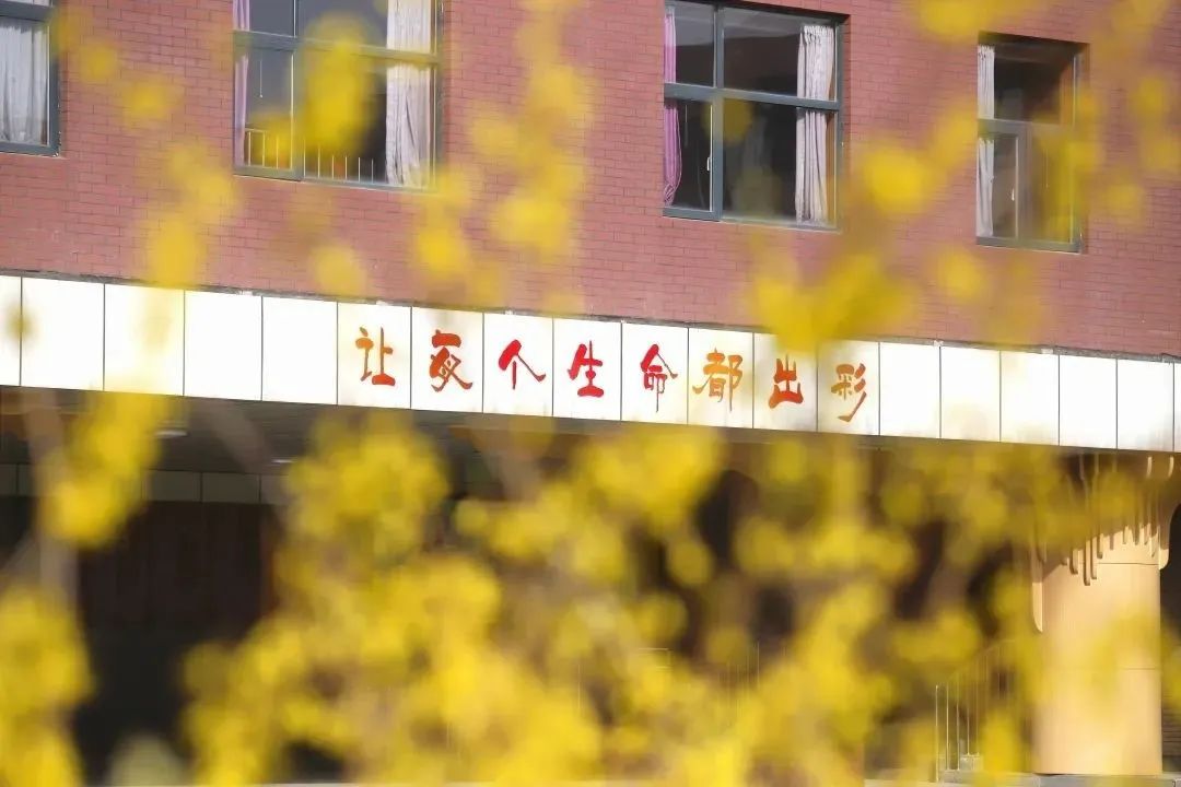 北京基础教育课程建设成果,北京基础教育强基工程