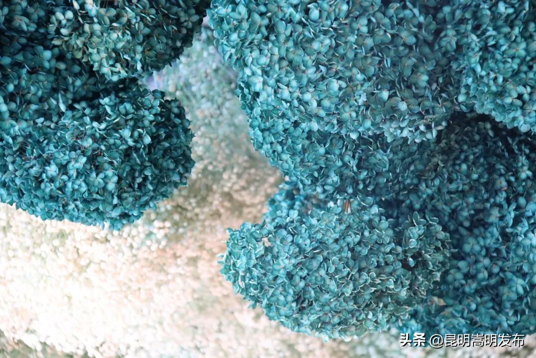 嵩明永生花店 (嵩明永生花)