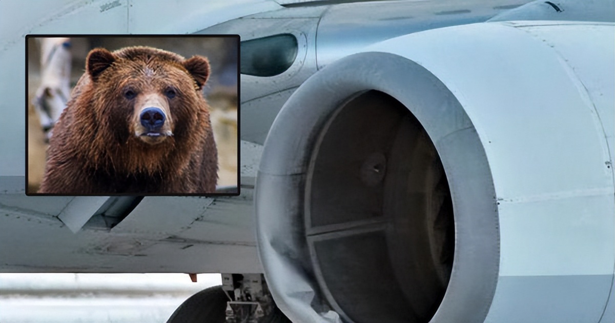 重庆机场飞机起火的是飞往哪里的,重庆机场客机起火原因