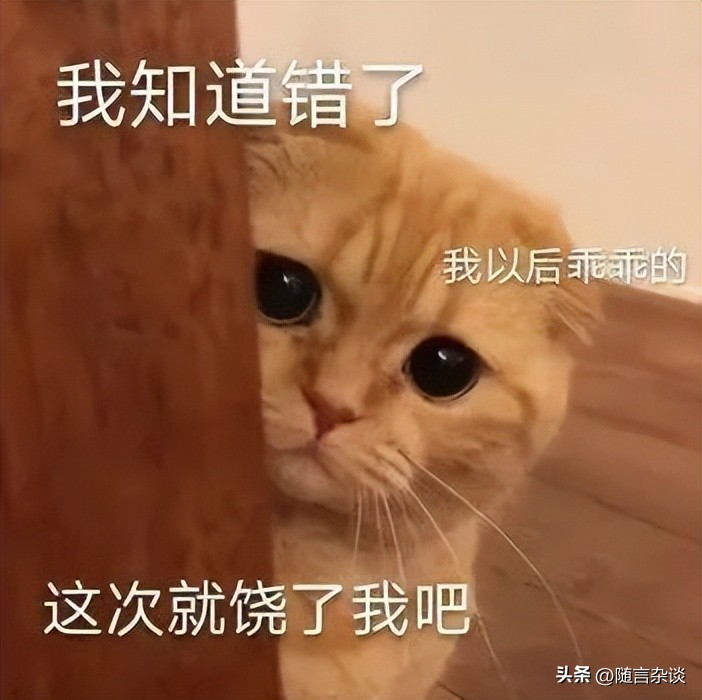 请饶了淄博大爷吧！人家真不缺钱啊！