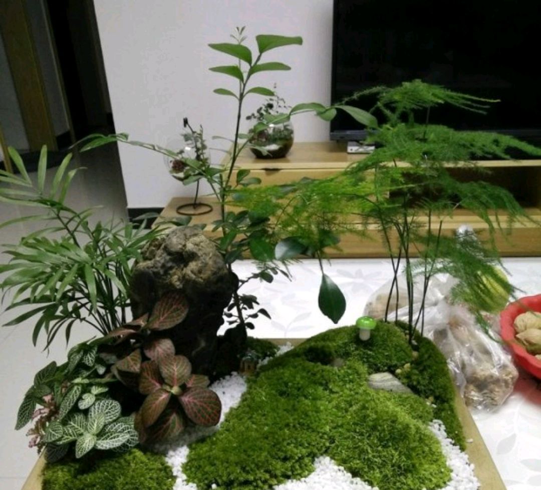 男子上山采药意外采到红石,农村小伙上山摘野果不小心摔倒了