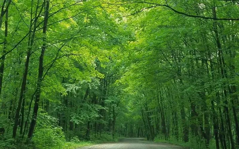 2022年五运六气壬寅年详细解释,2022年壬寅年虎年日历图片