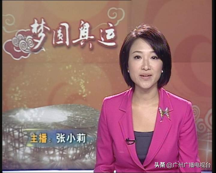 广视新闻回放,广视新闻同步直播