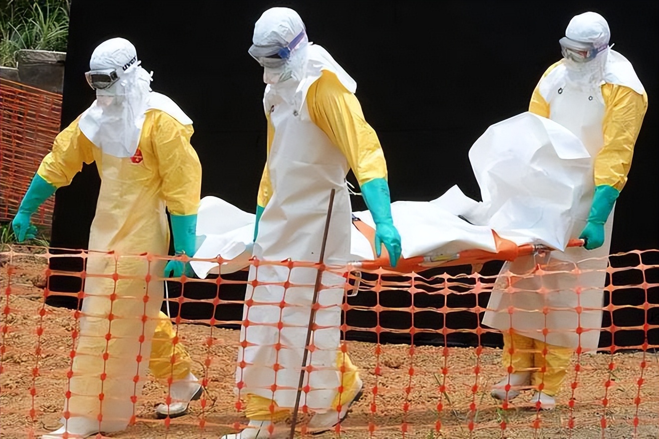 埃博拉病毒致死率为什么不是100%,埃博拉病毒如何侵入人体