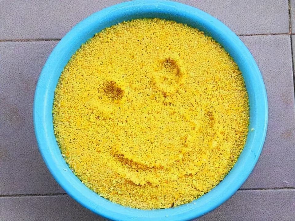 钓鱼窝料打假视频,网红窝料野钓专用