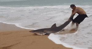 优秀的项目经理具备哪些能力,数字化项目经理需要具备什么能力