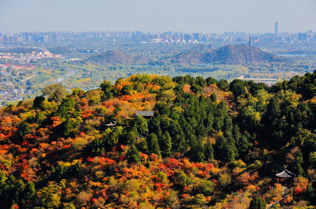本地人都不去的十大景点提前避坑,最好不要去哪些景区最坑人