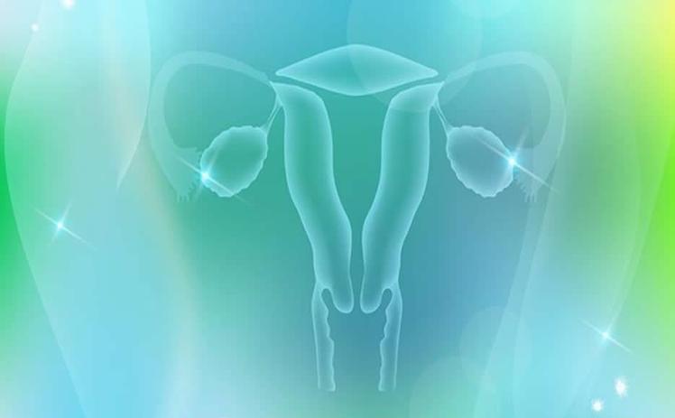 乳房按摩对身体有什么危害,怎样按摩乳房才能达到丰胸效果