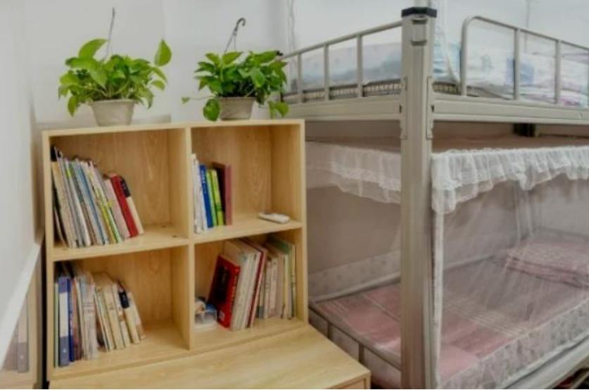 女乒刘伟个人资料,中国女乒运动员刘伟