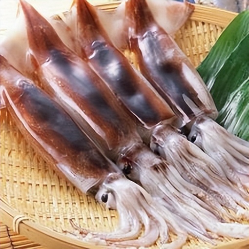 海洋动物体内的原肌球蛋白含量，是否会引起人体食物过敏？