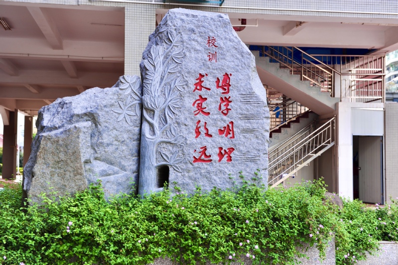 厦门六中2019高考,厦门六中高考成绩