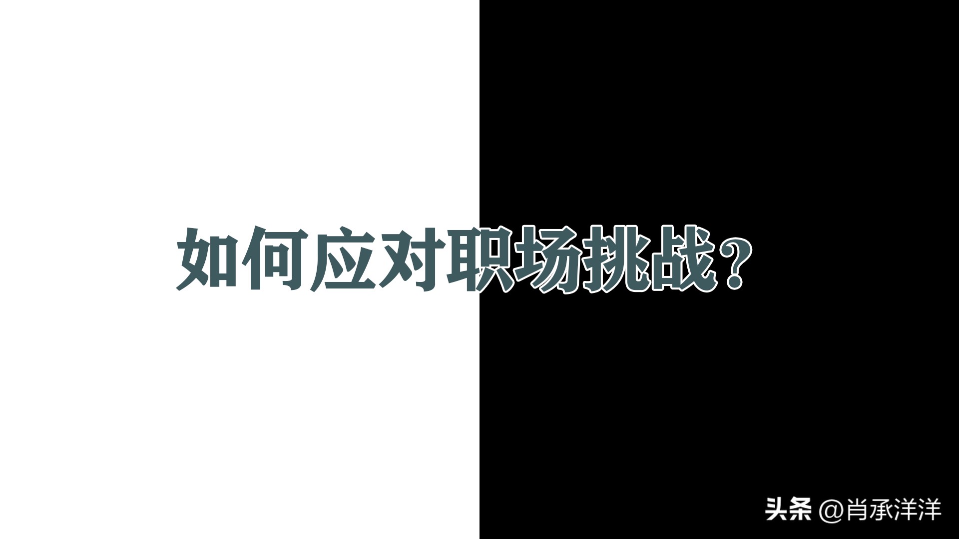 谈谈专业以及对未来职业的规划,结合专业谈谈自己的就业规划