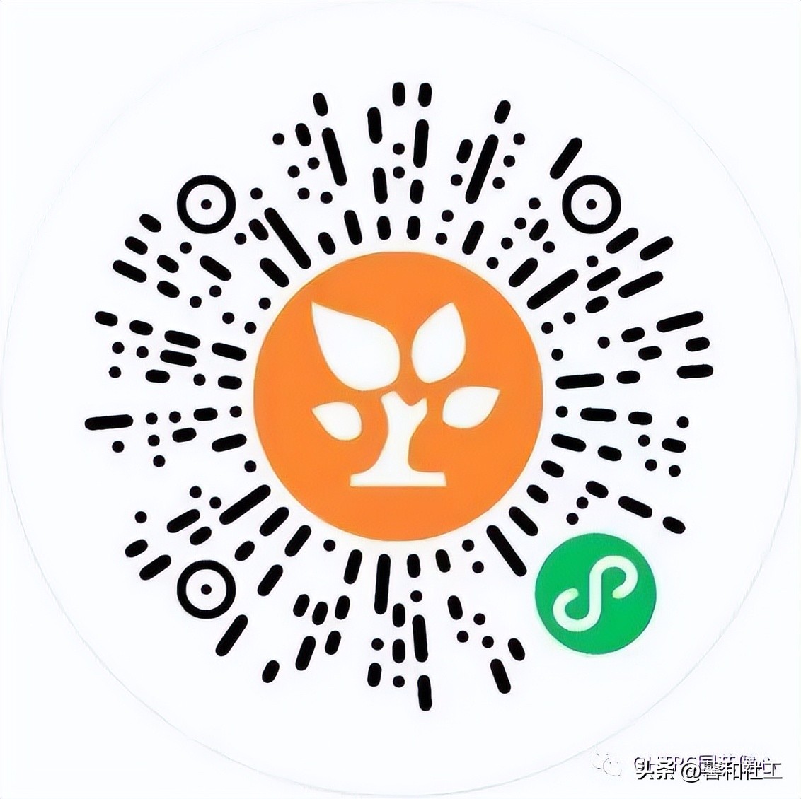 2023中国园林康养与园艺疗法大会,园林康养与疗愈的区别