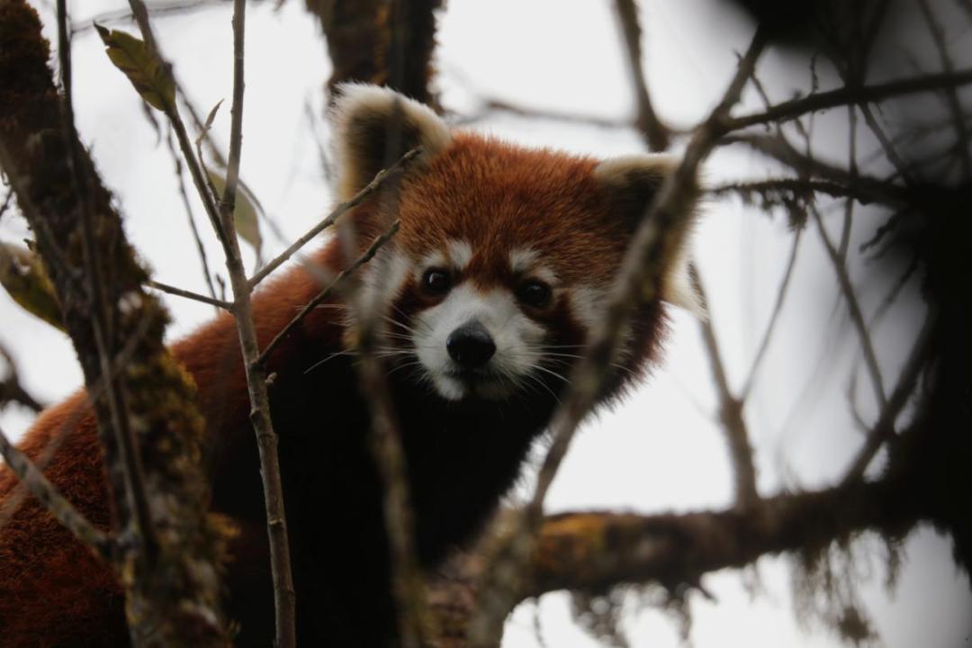 昆明七彩云南怎么样,七彩云南避暑家园