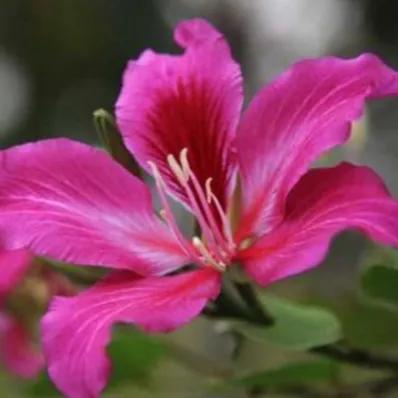 生意合作伙伴不积极怎么办,生意合作伙伴出现问题咋办