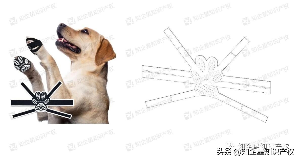 亚马逊宠物用品有哪些侵权,亚马逊地毯防滑贴侵权吗