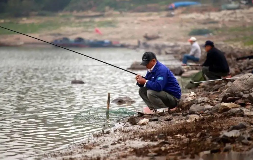钓鲤鱼最好的关东鱼钩,钓鲫鱼又能钓鲤鱼的鱼钩是哪一种